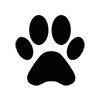 footprint